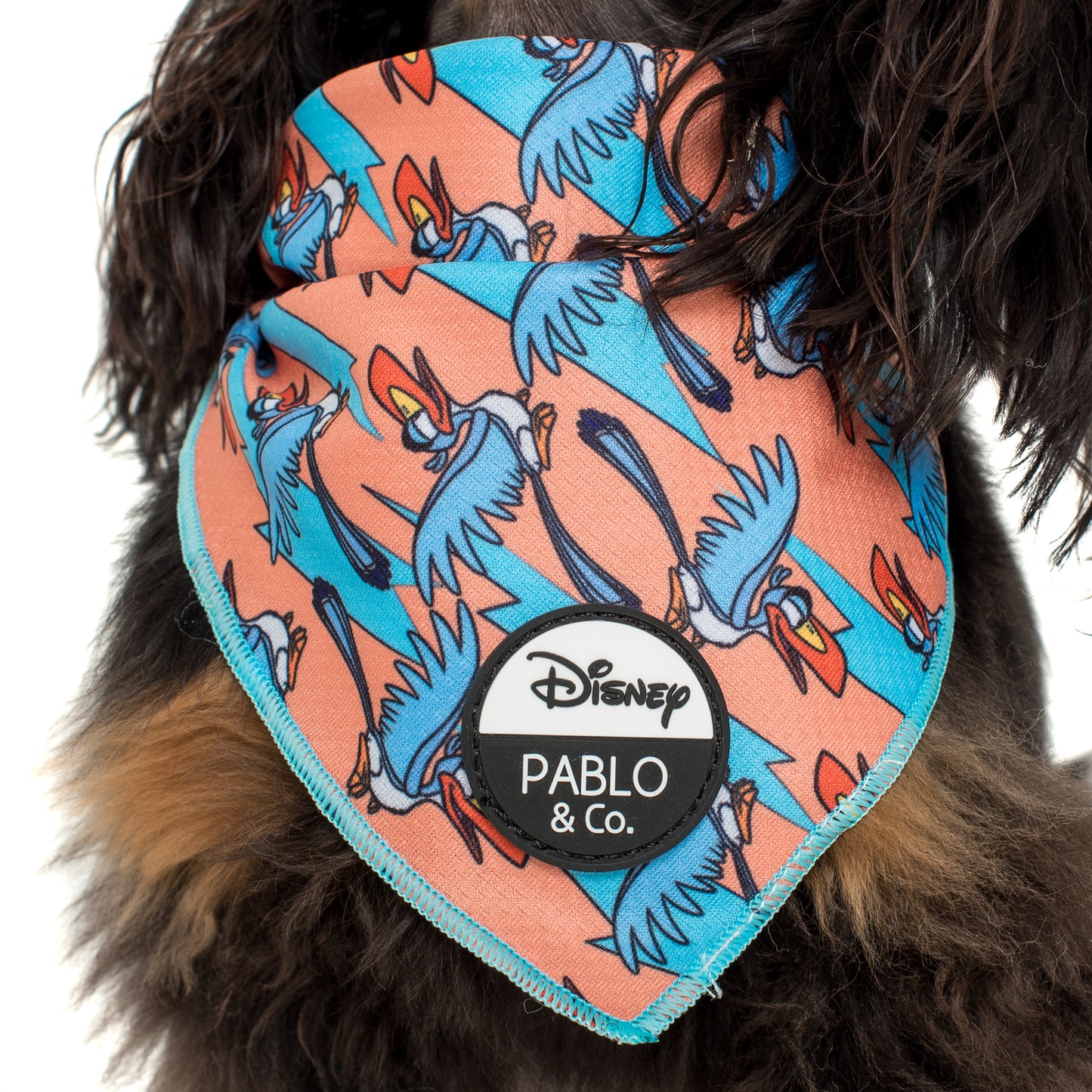 Zazu: Dog Bandana FINAL SALE. NO RETURNS.