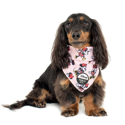 Minnie Mouse & Flowers: Dog Bandana