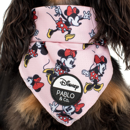 Minnie Mouse & Flowers: Dog Bandana