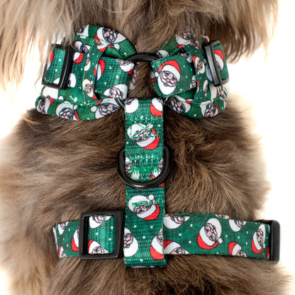 Rad Santa: Adjustable Harness