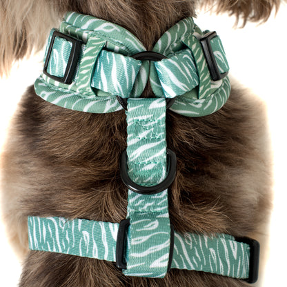 Green Zebra: Adjustable Harness