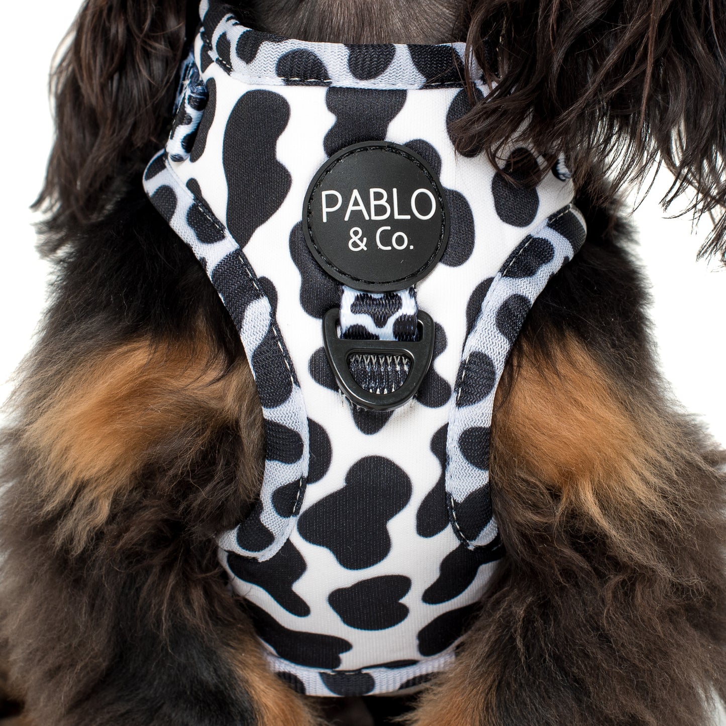 Moo Moo: Adjustable Harness