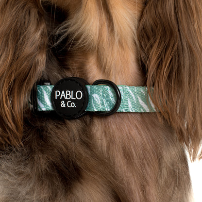 Green Zebra: Collar