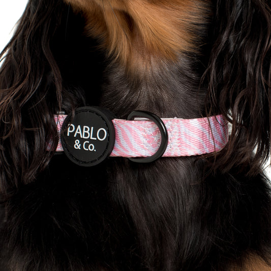 Pink Zebra: Collar