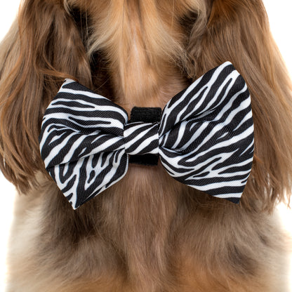 Black & White Zebra: Bow Tie