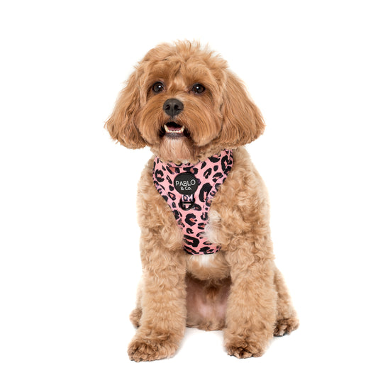 Pink Leopard: Adjustable Harness