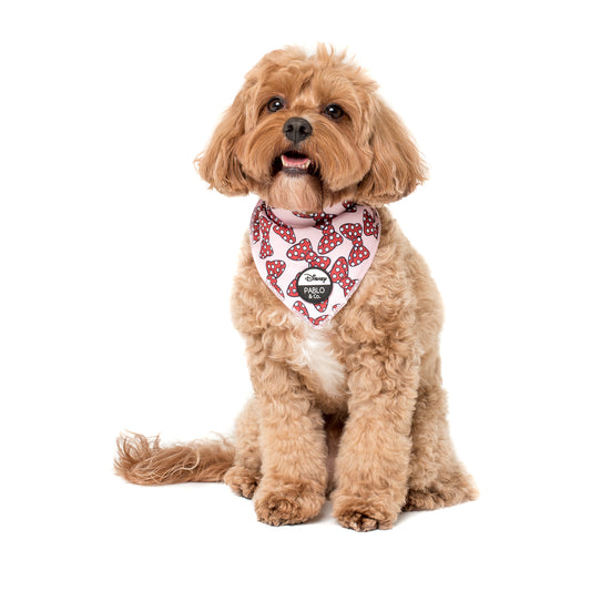 Minnie Mouse Bows: Dog Bandana