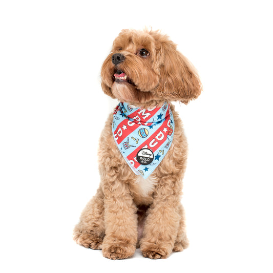 Dumbo's Carnival: Dog Bandana FINAL SALE. NO RETURNS.