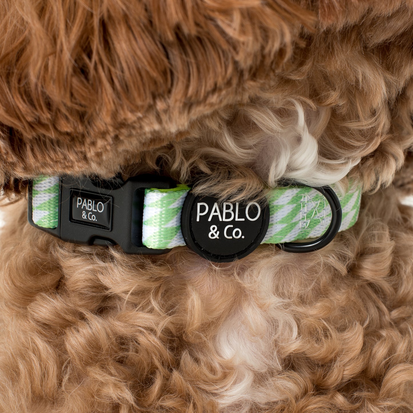 Lime Check Check: Collar