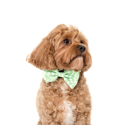 Lime Check Check: Bow Tie