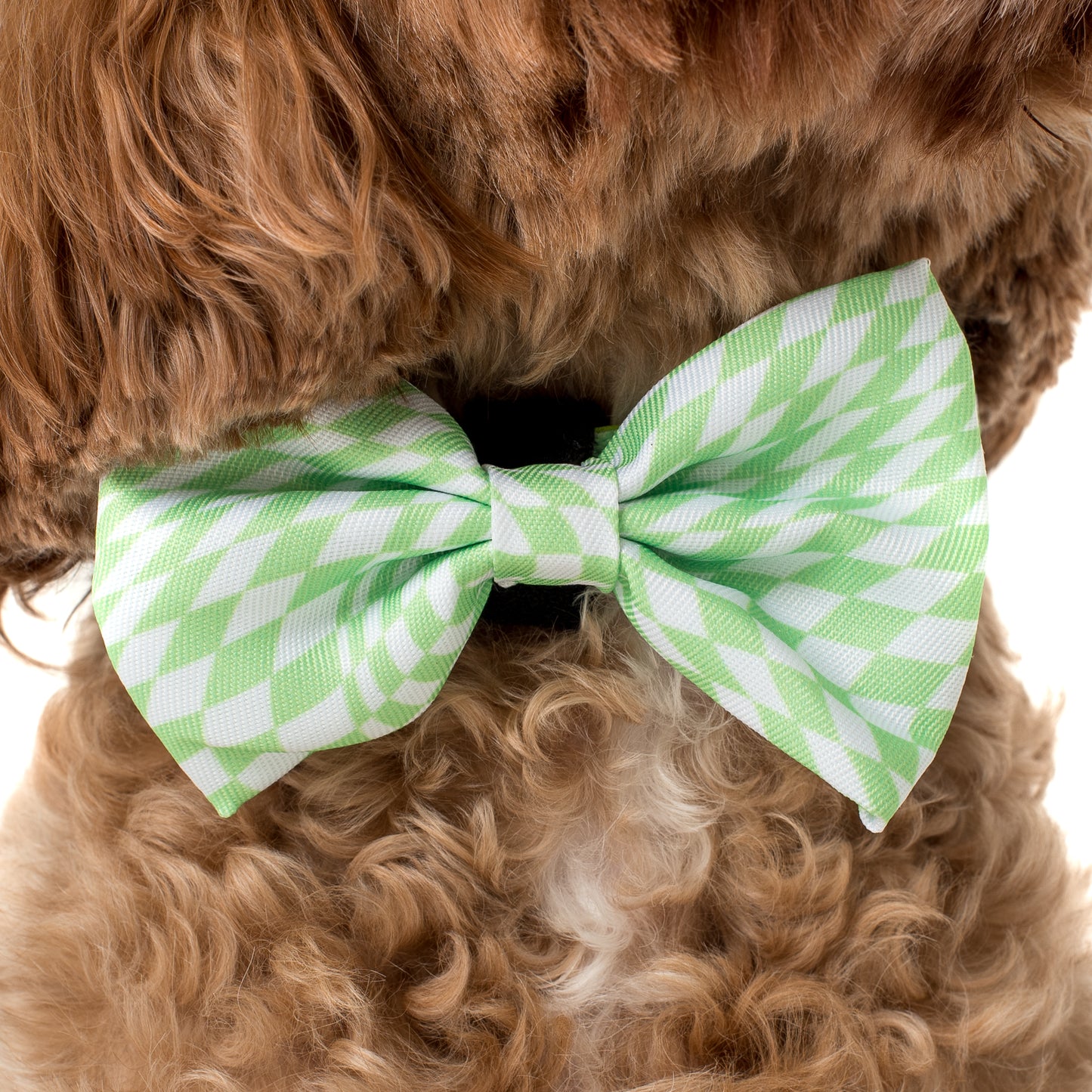 Lime Check Check: Bow Tie