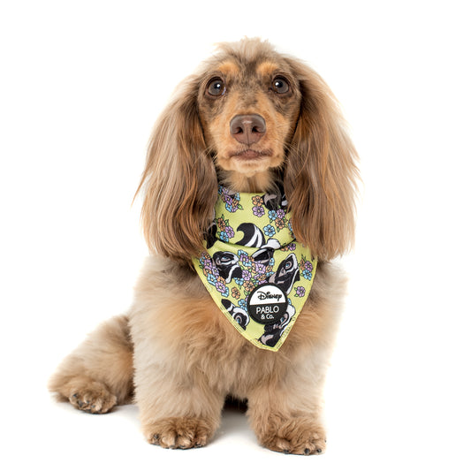 Flower the Skunk: Dog Bandana