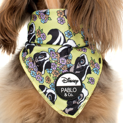 Flower the Skunk: Dog Bandana