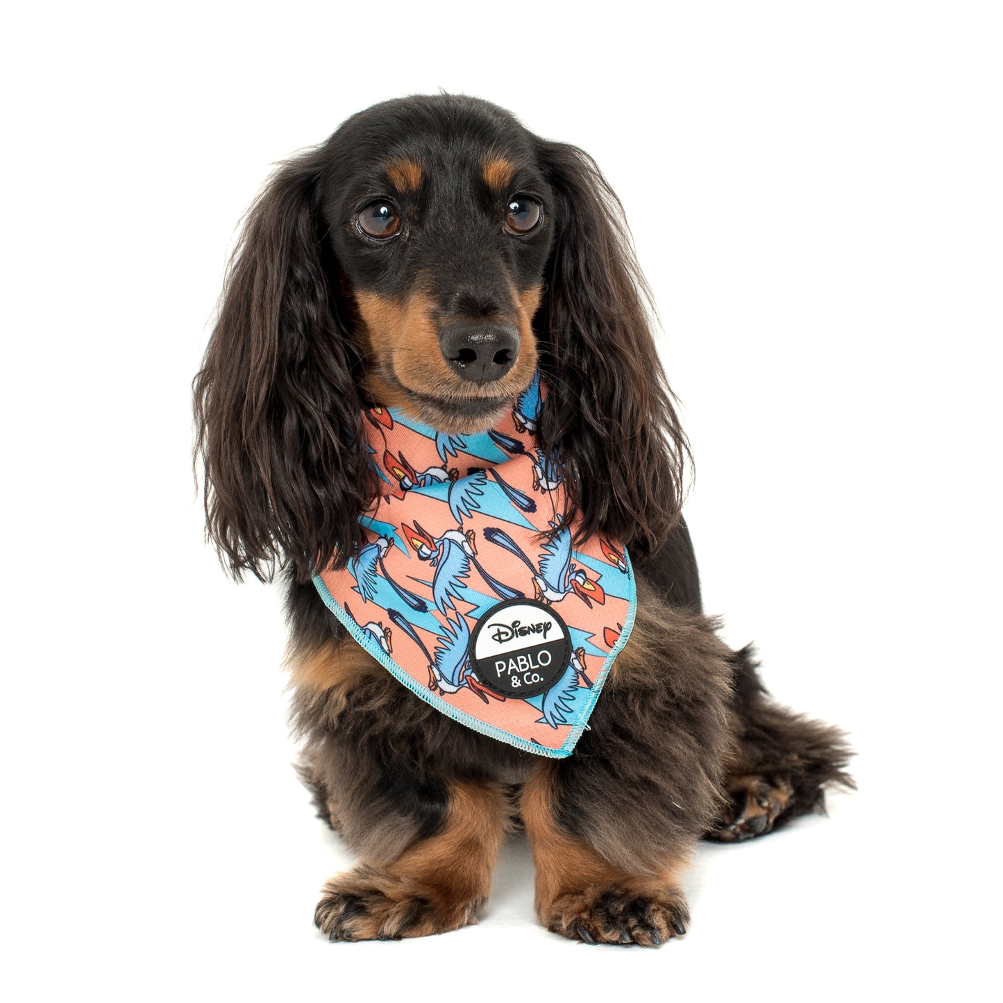 Zazu: Dog Bandana FINAL SALE. NO RETURNS.