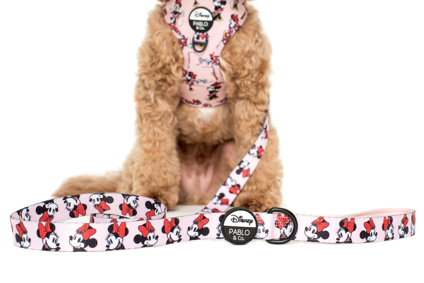 Minnie Mouse: Dog Leash