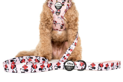 Minnie Mouse: Dog Leash