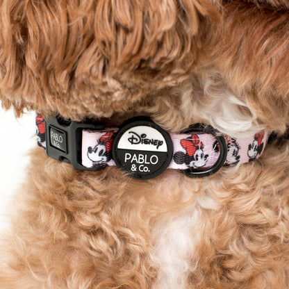 Minnie Mouse & Flowers: Dog Collar