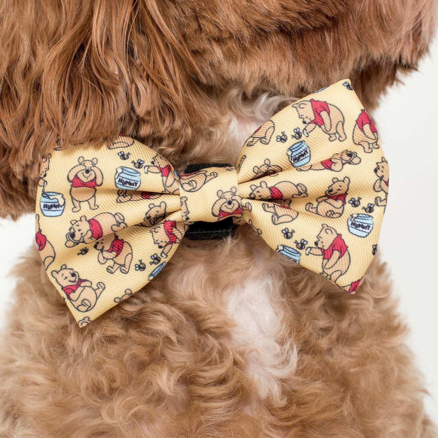 Winnie the Pooh & Bee's: Bow Tie