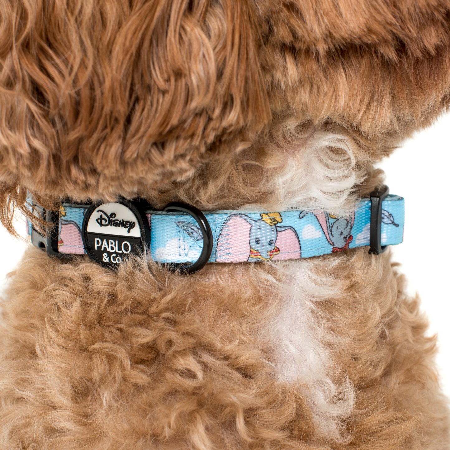 Dumbo in the Clouds: Dog Collar