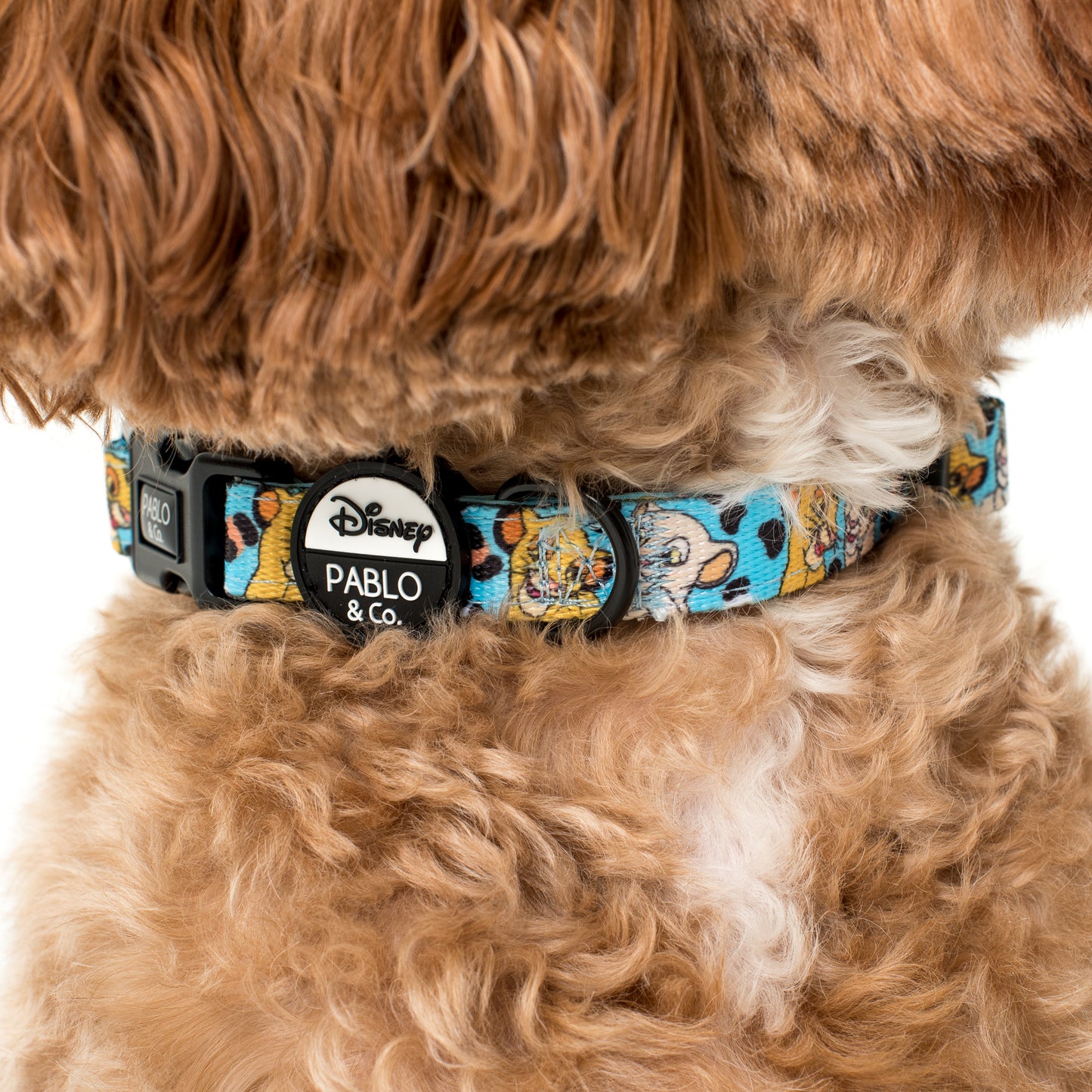 The Lion King: Dog Collar