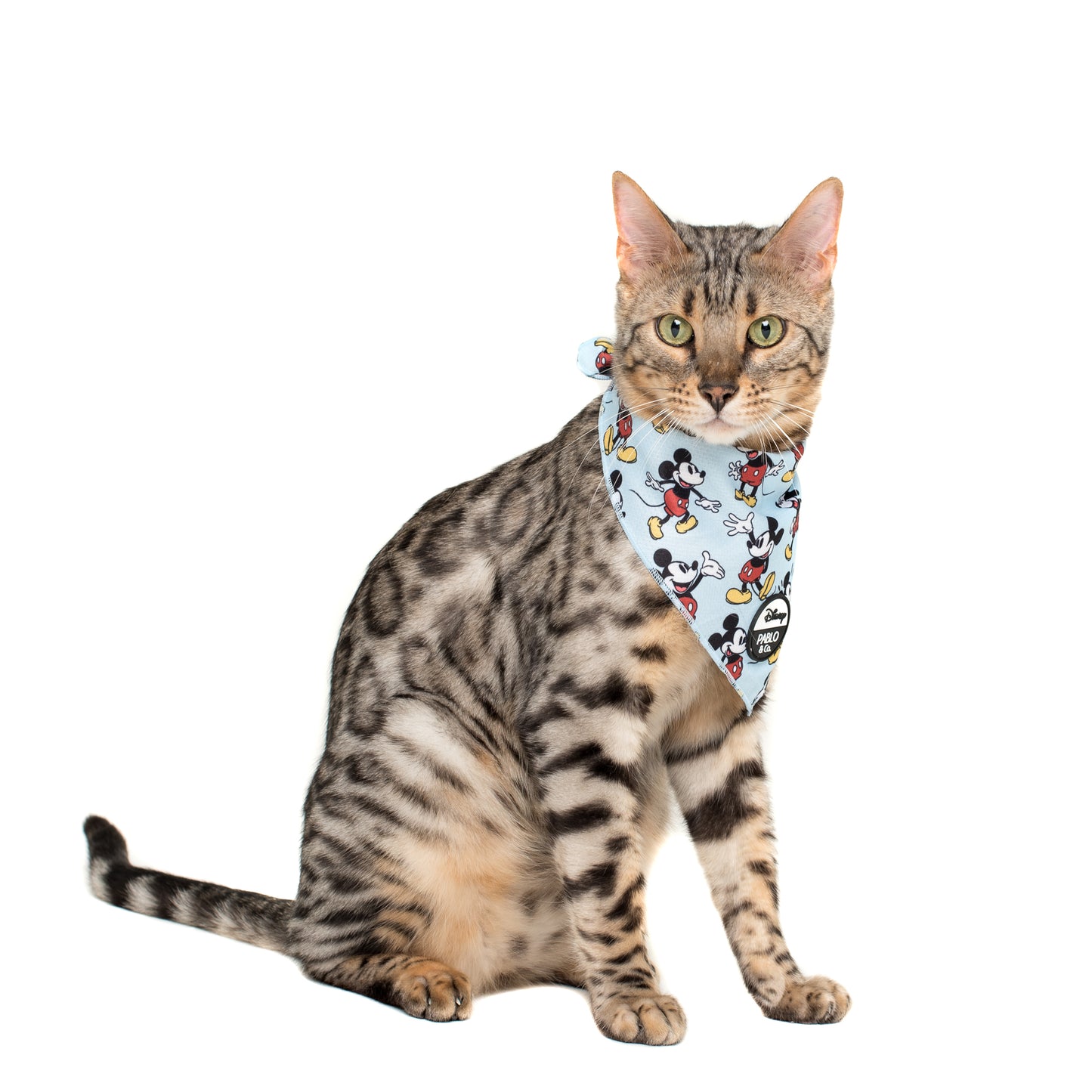 The Original Mickey Mouse: Cat Bandana