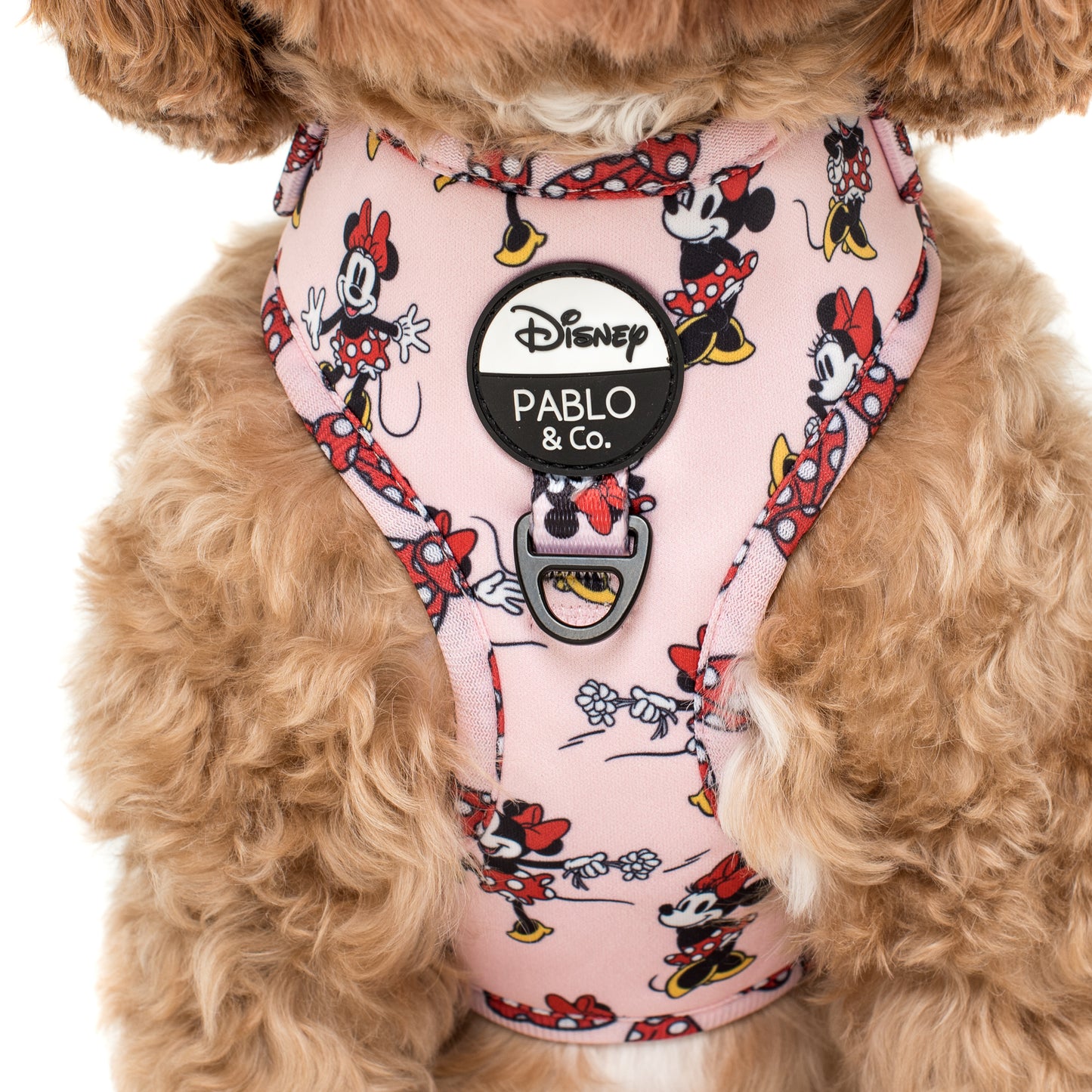 Minnie Mouse & Flowers: Adjustable Harness