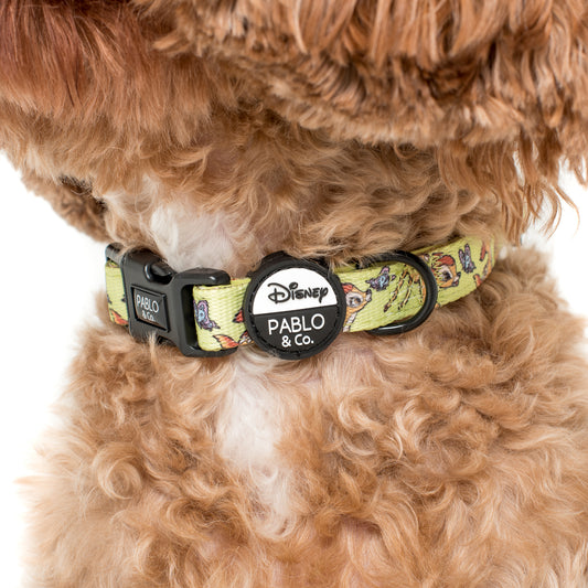 Bambi & Butterflies: Dog Collar