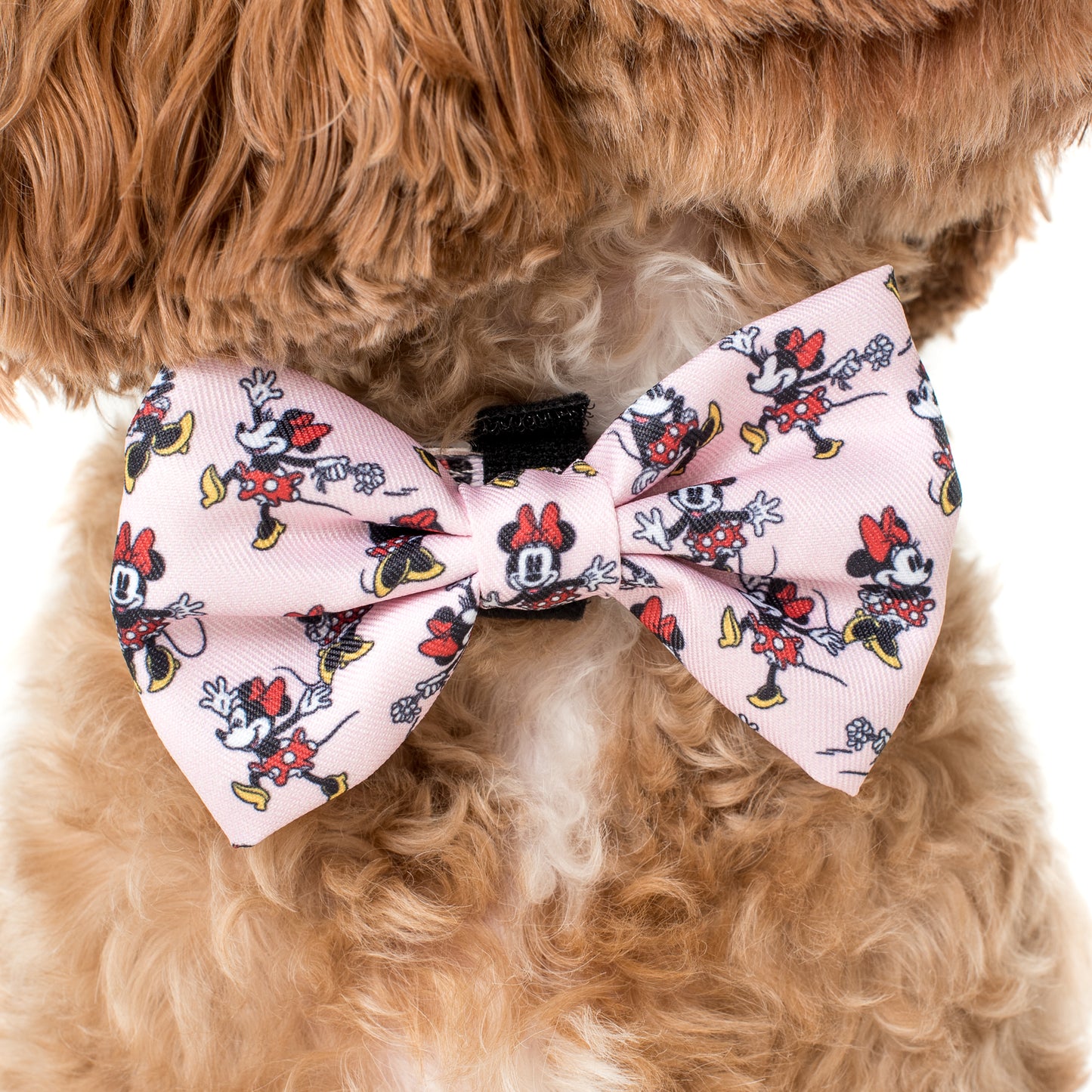 Minnie Mouse & Flowers: Bow Tie