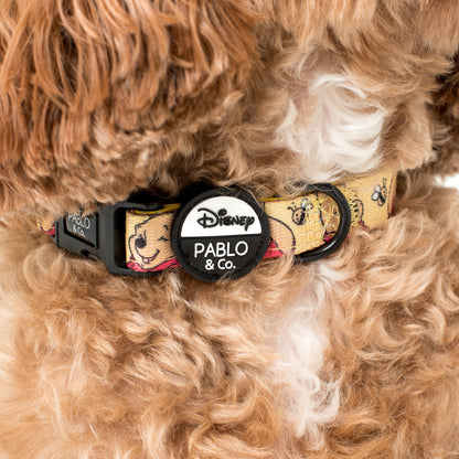 Winnie the Pooh & Bee's: Dog Collar