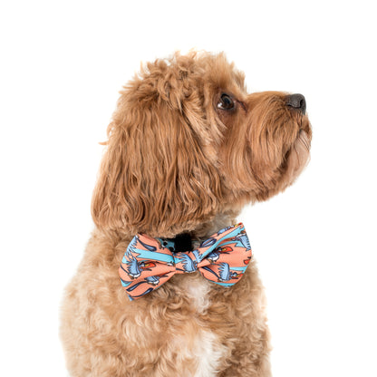 Zazu: Bow Tie