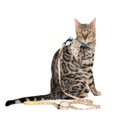 Winnie the Pooh & Bee's: Step In Cat Harness