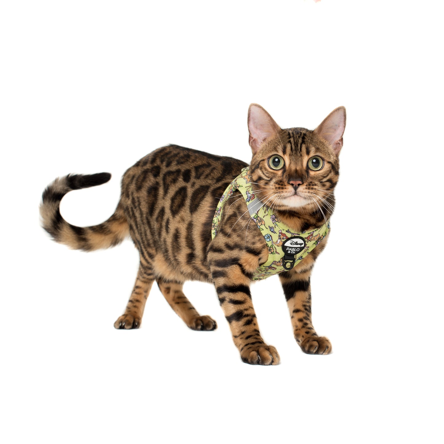 Bambi & Butterflies: Step In Cat Harness