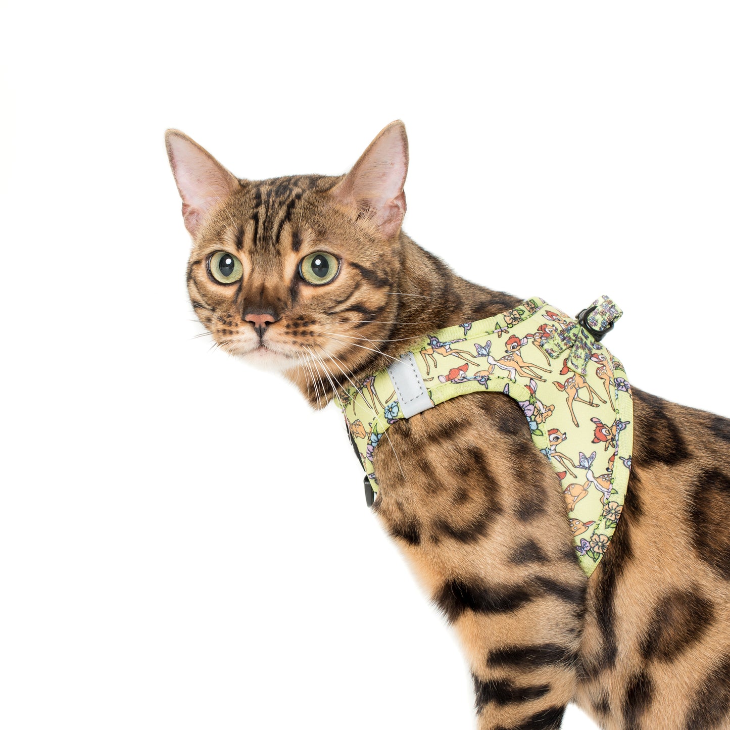 Bambi & Butterflies: Step In Cat Harness