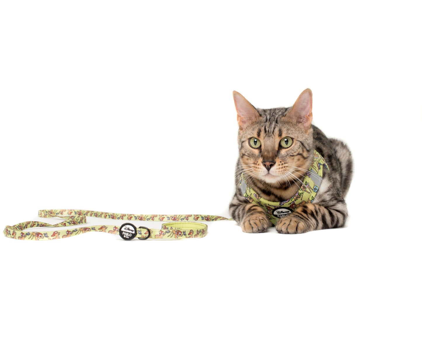 Bambi & Butterflies: Cat Leash