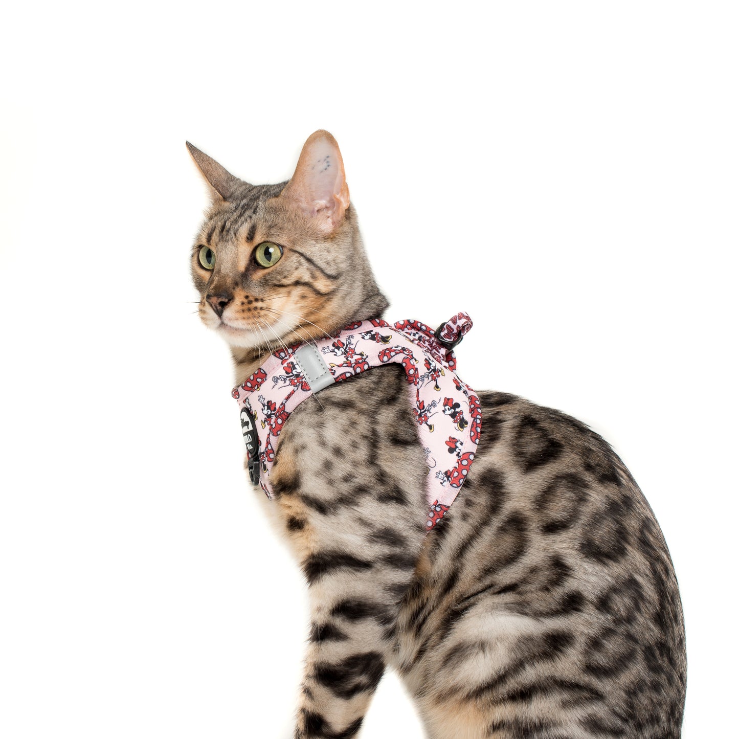 Minnie Mouse & Flowers: Step In Cat Harness