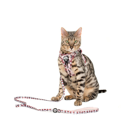 Minnie Mouse & Flowers: Cat Leash