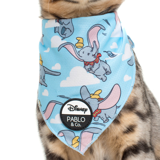 Dumbo in the Clouds: Cat Bandana