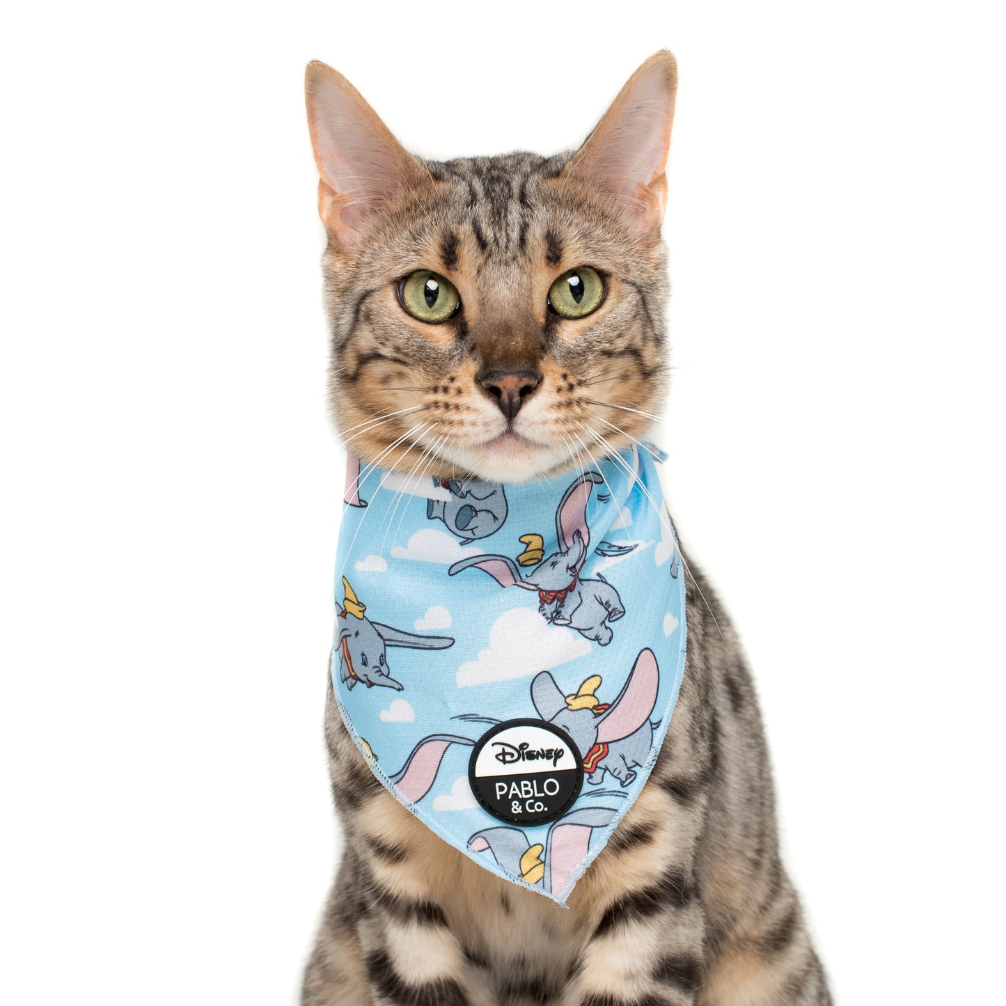 Dumbo in the Clouds: Cat Bandana