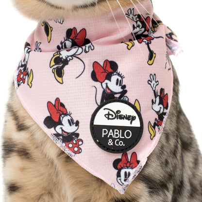 Minnie Mouse & Flowers: Cat Bandana