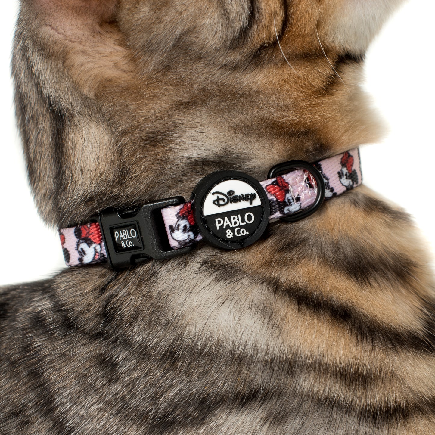 Minnie Mouse: Cat Collar