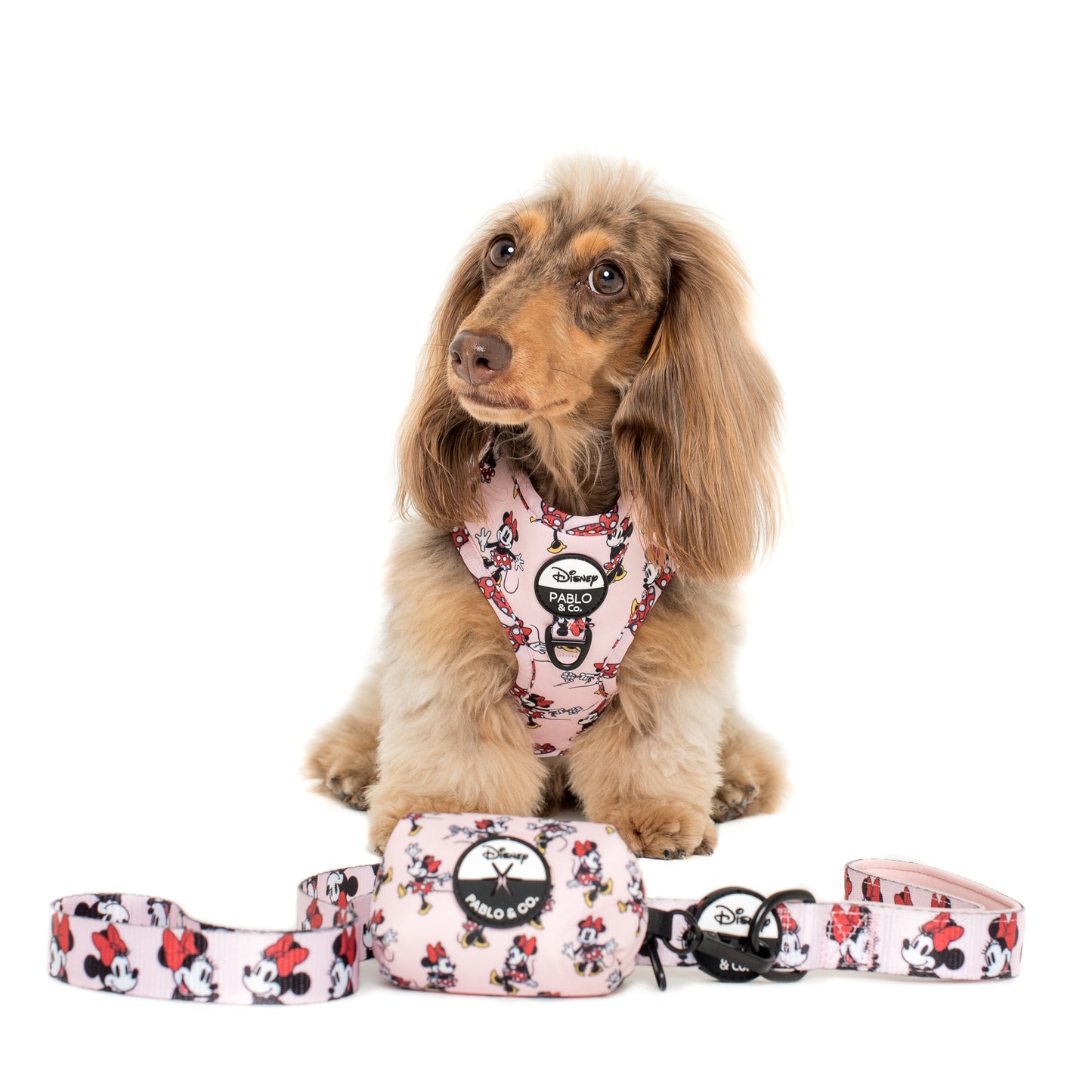 Minnie Mouse & Flowers: Adjustable Harness