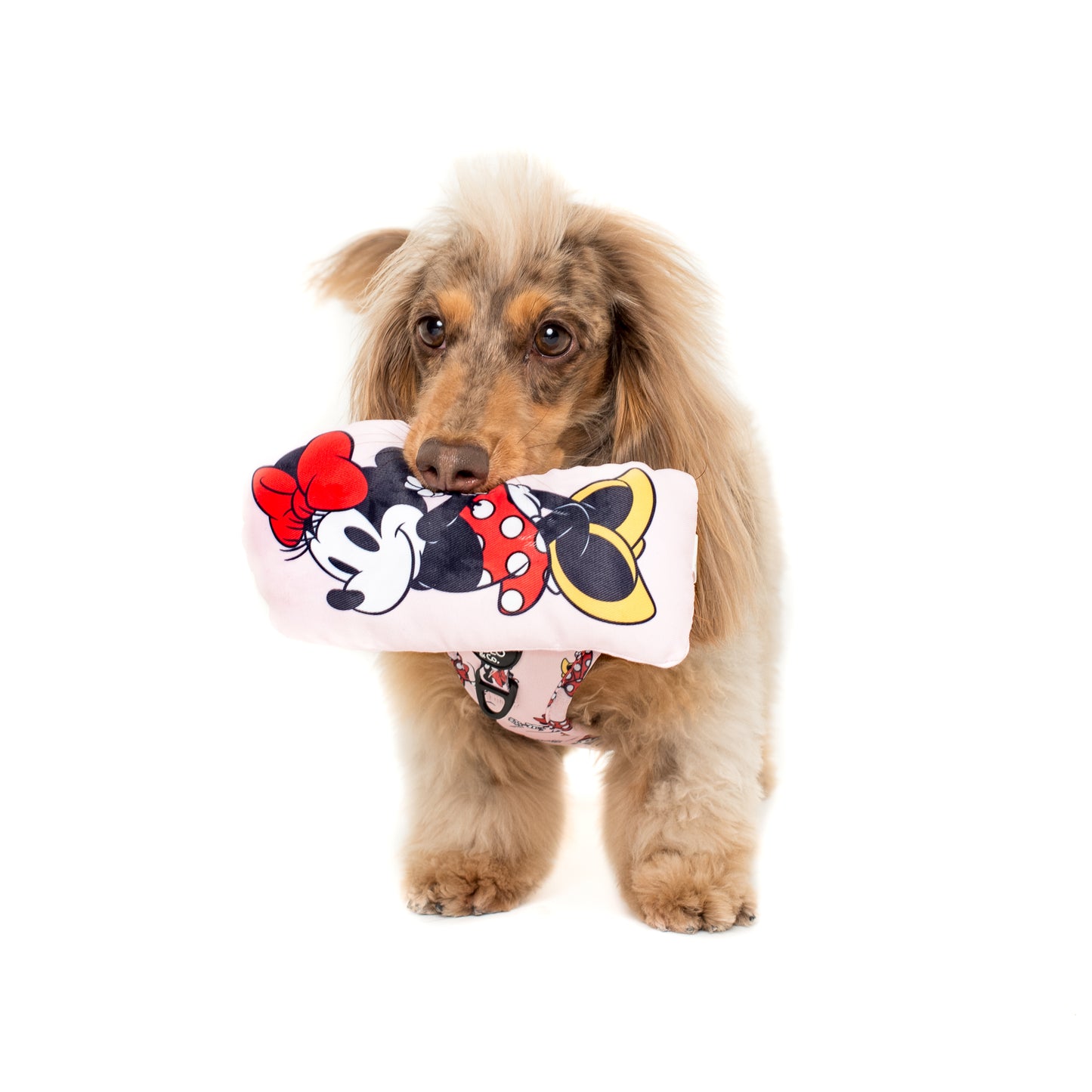 Minnie Mouse: Squeaky Toy