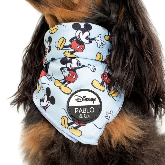 The Original Mickey Mouse: Dog Bandana