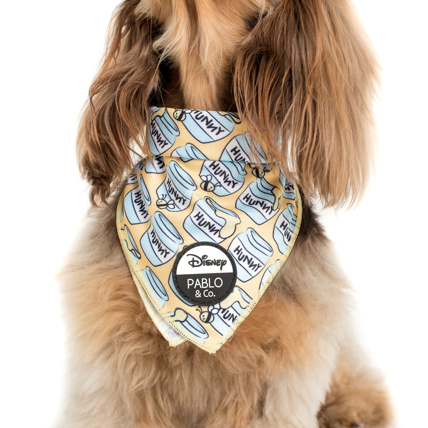 Winnie the Pooh Hunny Pot: Dog Bandana