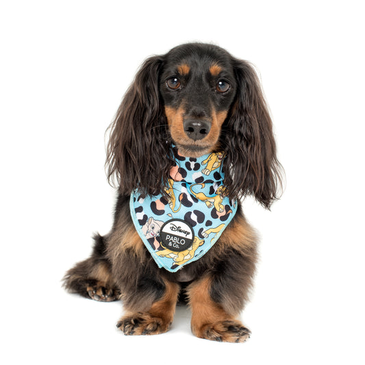 The Lion King: Dog Bandana