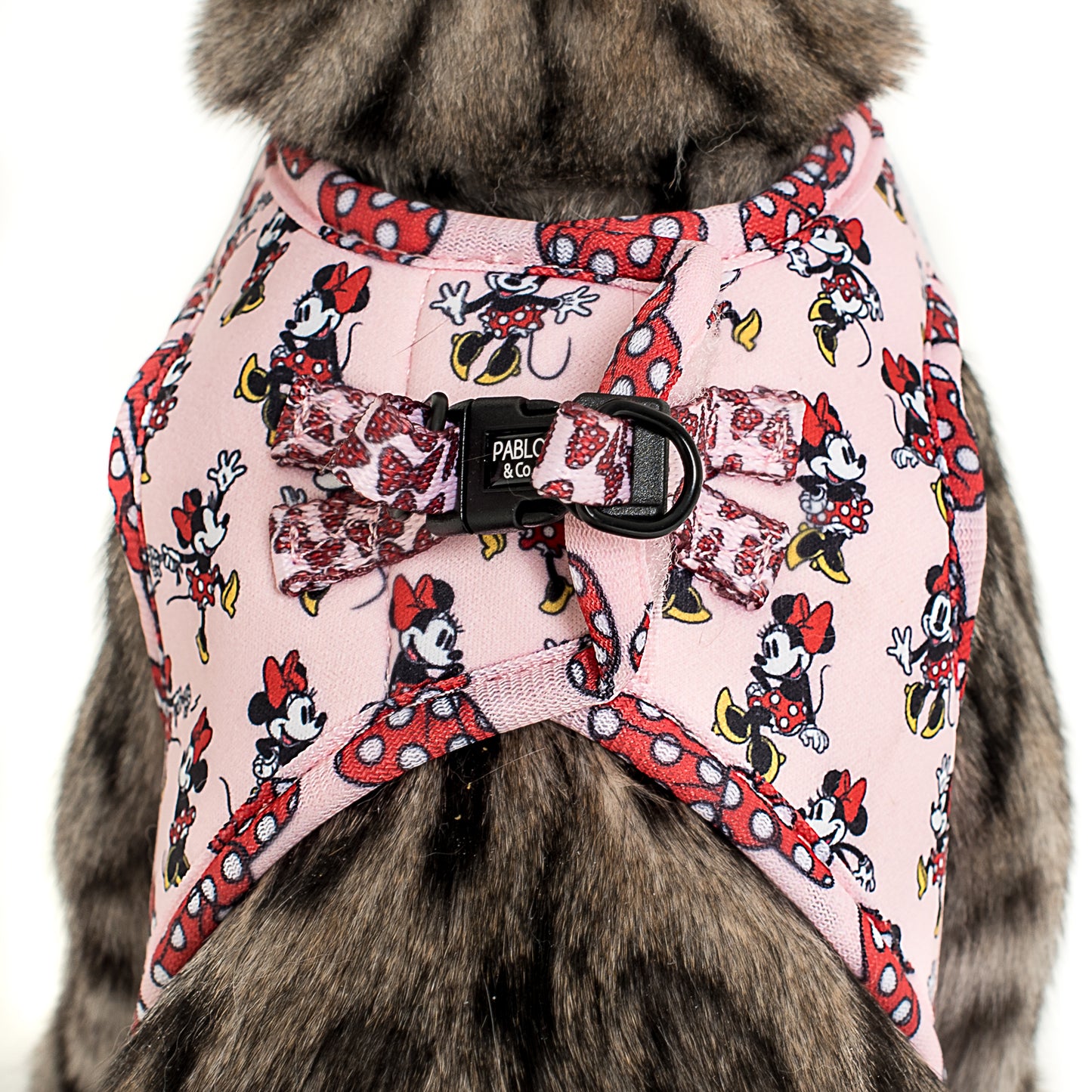 Minnie Mouse & Flowers: Step In Cat Harness