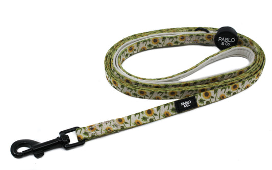 Sunflowers: Cat Leash FINAL SALE. NO RETURNS