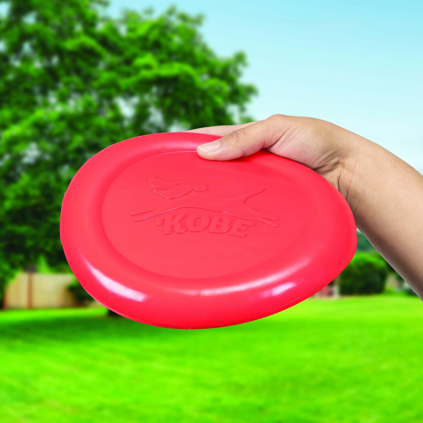 Bacon Scented Frisbee