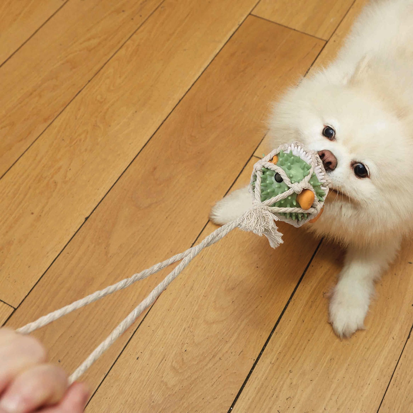 Pufferfish Tug Toy